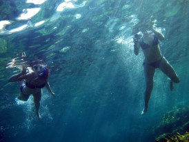 Snorkelling excursions